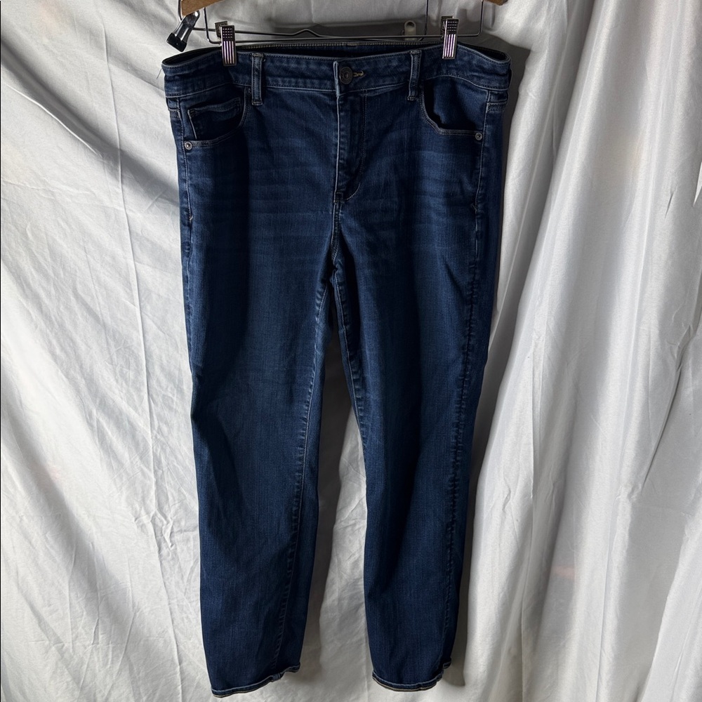 American Eagle Outfitters Navy Skinny Jeans